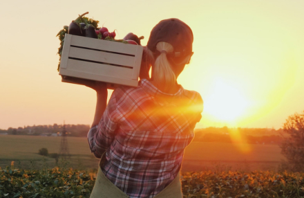MBH Kisvállalati Agrár Bankszámla MBH Kisvállalati Agrár Bankszámla