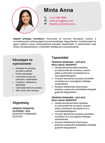 CV_minta_pro