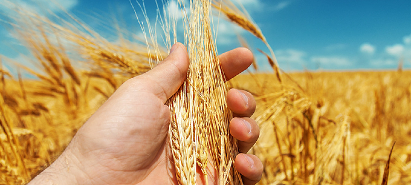 Agrárfinanszírozás - www.takarekbank.hu Agrárfinanszírozás - www.takarekbank.hu
